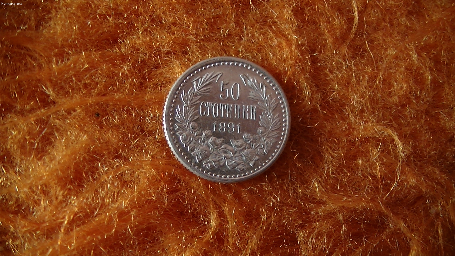 50 ст. 1891 г.
